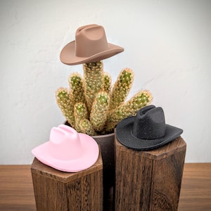 May include: Three miniature cowboy hats in matte tan, light pink, and black colors. The tan hat rests atop a green cactus in a dark gray pot, while the pink and black hats are positioned on separate dark brown wooden pedestals.