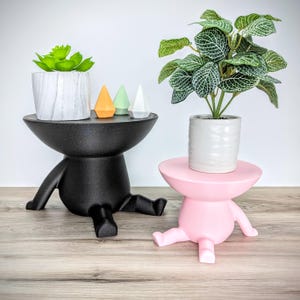 以下が含まれることがあります： ユニークな人間のようなデザインの黒とピンクの2つのプラントスタンド。スタンドはボウル型のトップと4本の脚を持っています。スタンドは、鉢植えの多肉植物と鉢植えの緑の植物で飾られています。