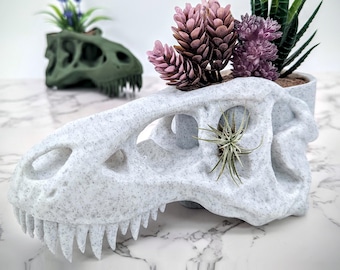 Trex-plantenbak, kamerplanter voor kamerplanten en vetplanten, dinosaurusplantpot, schedelplantenbakken, houder voor airplant