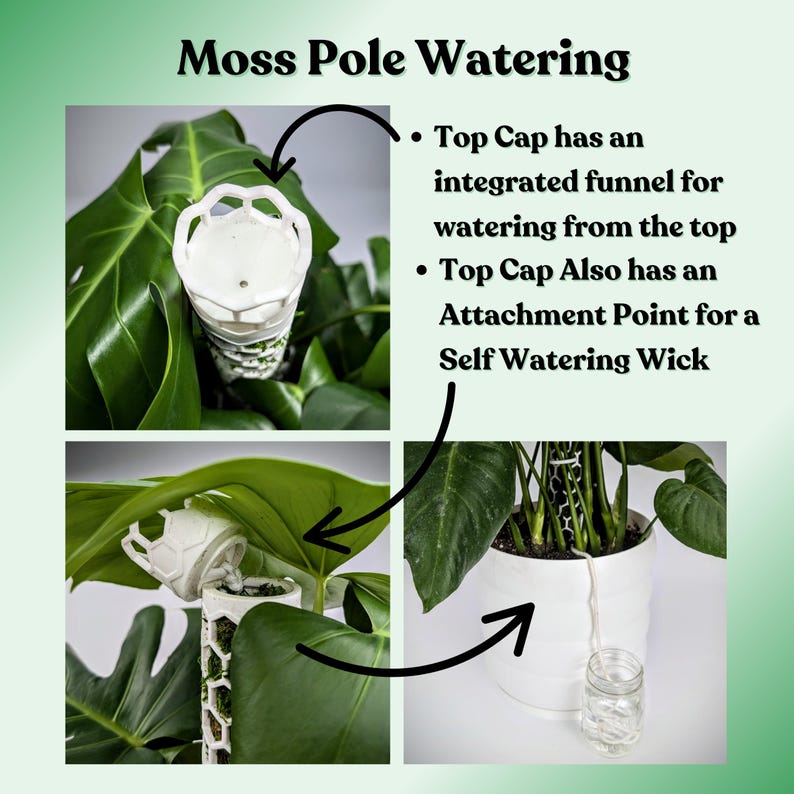 May include: A white moss pole with a white plastic cap on top. The cap has a funnel for watering from the top and an attachment point for a self-watering wick. The pole is surrounded by green leaves.