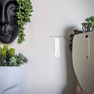 May include: White planter with a succulent plant hanging on a white wall using a white command strip. The text (Strip not included) is written on the wall.
