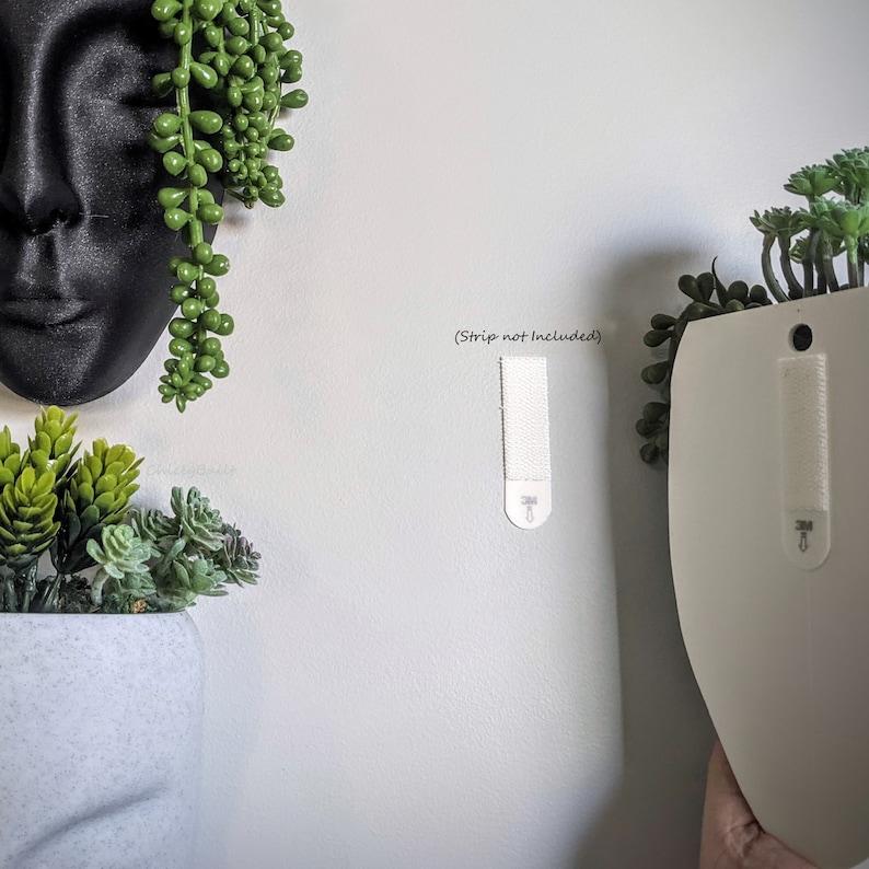 May include: White planter with a succulent plant hanging on a white wall using a white command strip. The text (Strip not included) is written on the wall.