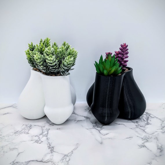 Penis Pflanzer - Lustiger Dildo Sukkulenten Pflanzer - Einzigartiger  mnnlicher Torso Pflanztopf Wohnkultur - Mnnliche Pflanzgefe - Gag  Geschenk - Etsy sterreich