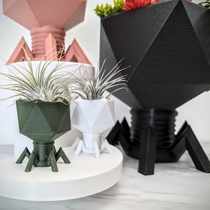 May include: Three geometric planters with legs, in black, white, and green, with air plants growing inside. The planters are made of a textured material and have a unique, modern design.