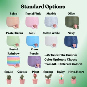 May include: A variety of small, colorful planters with smiling faces, each holding a tiny pot. Colors include beige, pink, marble, olive, green, blue, white, navy, rainbow, and purple. The text reads "Standard Options" and "...Or Select The Custom Color Option to Choose from 50+ Different Colors!"
