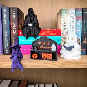 May include: A black hooded figure holding a white cup, a purple witch figurine, a white ghost reading a book, and a black shelf with the text Days Til Halloween, a small pumpkin, and two orange numbered blocks sitting on a wooden bookshelf.