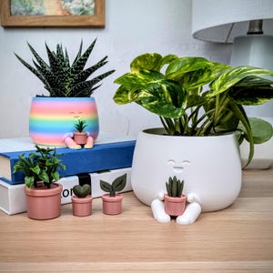 May include: A collection of whimsical plant pots. One pot is rainbow-colored, another is white, and several are pink. Each pot has a smiling face and holds a small plant. The pots are arranged on a wooden surface.