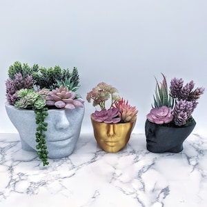 Head Planter - Face Succulent Planters - Woman Head Plant Pots - Home Garden - Medusa Head Pot - Home Decor - Flower Pot - Housewarming Gift