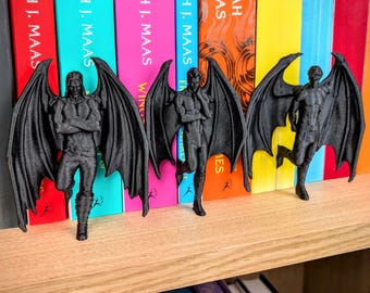 Acotar inspirierte Rhysand, Cassian Bücherregal Dekor, Azriel Bücherwurm Geschenk, Booktok, Smut Romanze Geschenke für sie, Hoher Lord, Herr des Blutvergießens