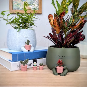 May include: Two decorative plant pots with smiling faces, one light gray and one olive green, each holding a small pink pot with a plant. Additional small pink pots with plants are in front of the pots. The pots are on a wooden surface.