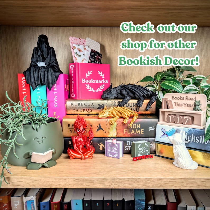 Bookworm Fidget, Book Lover Gift, Gifts for Her, Booktok, Bookish Decor ...