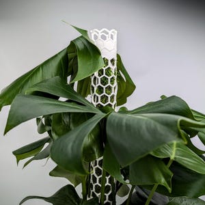 Moss Pole Kit, Self Watering Plant Trellis, Modular Extendable Plant Support, Plant Accessories, Stackable Plant Pole with Watering Funnel image 5