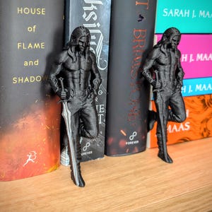 Fae Bookshelf Decor, Fantasy Romance, Quicksilver, Throne of Glass, Bookish Gifts, Book Lover Gift, Gifts for Her, Book Boyfriend, Smut