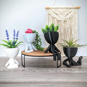 以下が含まれることがあります： 人間の形をしたユニークなプランターに入った4つの鉢植え。プランターは白、黒、グレー。植物は多肉植物、ラベンダー、エアプラント2種類。プランターは黒い金属製のスタンドの上に置かれ、木製の天板が載っている。