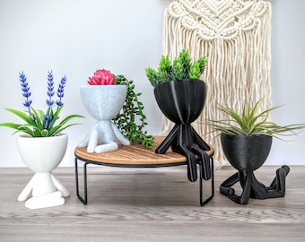 Little People plantenpotten - schattige plantenbak met drainage - succulente plantenbak - raamplantpot - Robert plantenbakken - Zen Garden succulente pot
