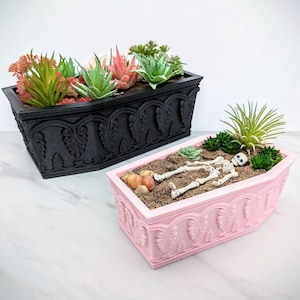 Puede incluir: Dos macetas con forma de ataúd, una negra y otra rosa, con plantas suculentas y un esqueleto dentro de la maceta rosa.