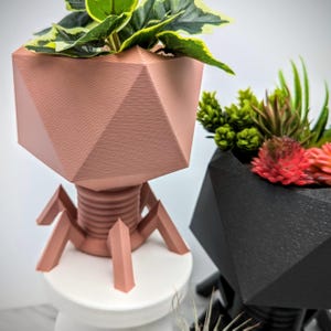 May include: Two geometric planters, one pink and one black, with a unique bacteriophage design. The pink planter has a green plant inside, while the black planter has a variety of succulents.