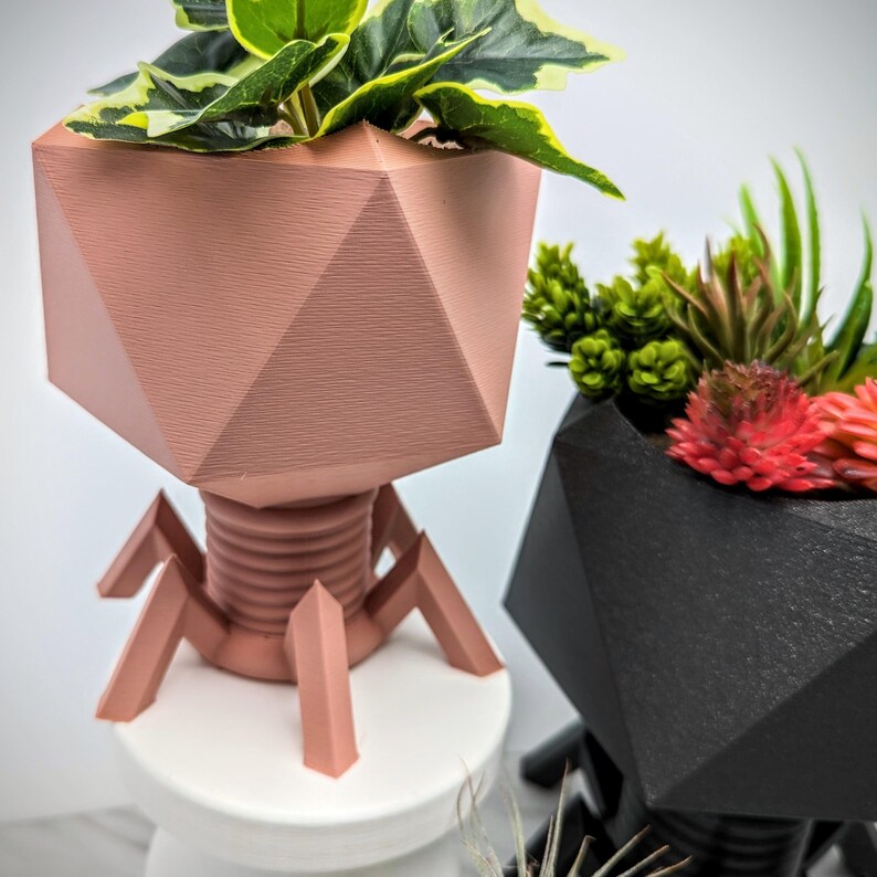 May include: Two geometric planters, one pink and one black, with a unique bacteriophage design. The pink planter has a green plant inside, while the black planter has a variety of succulents.