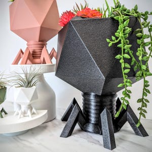 May include: Three geometric planters with legs resembling a spider. The planters are made of black and pink plastic and are filled with plants. The plants are a succulent, a air plant, and a green leafy plant.