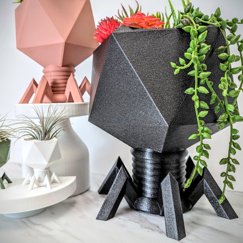 May include: Three geometric planters with legs resembling a spider. The planters are made of black and pink plastic and are filled with plants. The plants are a succulent, a air plant, and a green leafy plant.