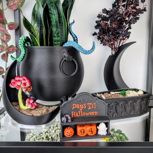May include: A black cauldron planter with green and blue tentacles, a black crescent moon planter with a succulent, a black coffin planter with skeleton parts, and a black tombstone-shaped countdown calendar with orange blocks reading Days Til Halloween.