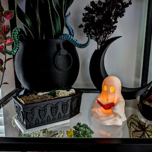 May include: A black cauldron planter with blue tentacles, a black coffin-shaped planter containing a skeleton, and a small white ghost figurine holding a red book. The ghost is illuminated from within, casting a warm glow on the red book.