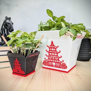 Afhalen plantenpot, Chinese afhaalbak plantenbak, plantenbak voor binnen met drainage en lekbak, schattige plantenpotten, cadeau plantenliefhebber, vreemd interieur