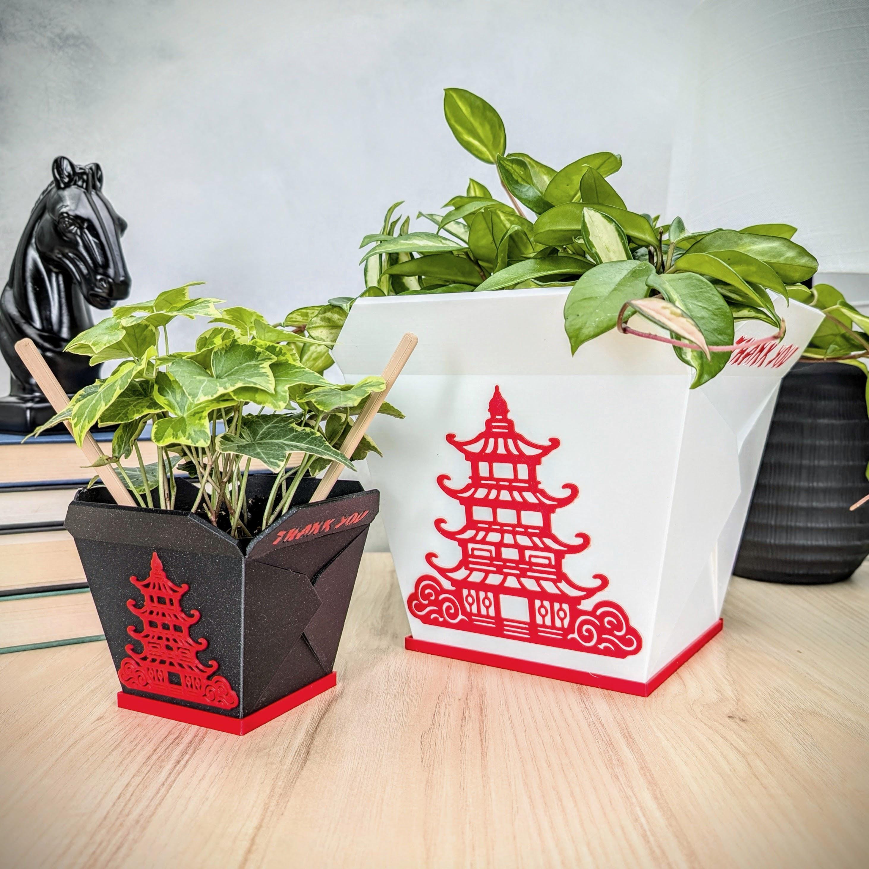 Takeout Plant Pot, Chinese Takeout Box Planter, Indoor Planter w/ Drainage and Drip Tray, Cute Plant Pots, Plant Lover Gift, Odd Home Decor