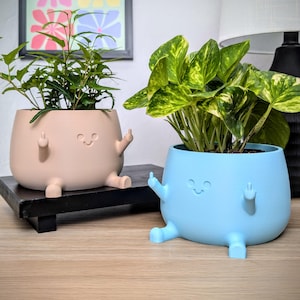Puede incluir: Dos macetas caprichosas, una rosa claro y otra azul claro, cada una con una cara sonriente y un dedo medio levantado. Las macetas tienen patas pequeñas y están llenas de plantas verdes. La maceta rosa está sobre una estantería negra.