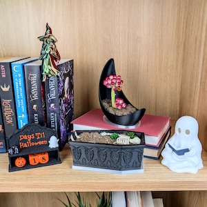 May include: A black crescent moon planter with a succulent, a black coffin-shaped planter with a skeleton, a Days Til Halloween countdown calendar with orange blocks, and a white ghost figurine reading a book, all arranged on a wooden shelf.
