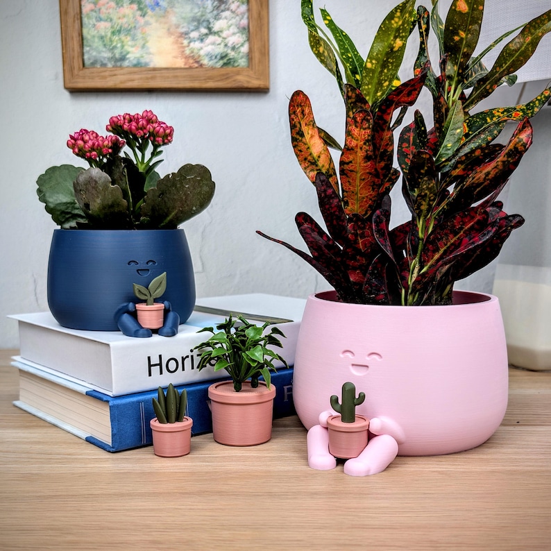 May include: A collection of whimsical, smiling face planters in blue and pink, each holding a small potted plant. The planters hold various plants, including a succulent, a cactus, and flowering plants. The planters are on a wooden surface.