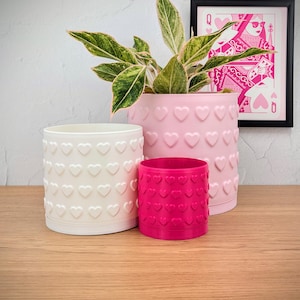Puede incluir: Tres macetas cilíndricas en blanco, rosa claro y magenta vibrante, cada una con un patrón de corazones en relieve en el exterior. La maceta rosa claro contiene una planta de hojas verdes y crema, junto a un cuadro enmarcado de una reina de corazones.