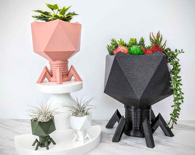 Virus Planter, T4 Bacteriophage, Biology Science Gift, Office Decor, Teaching Gifts, Air Plant Holder, Catch All Dish, Gifts for Teachers