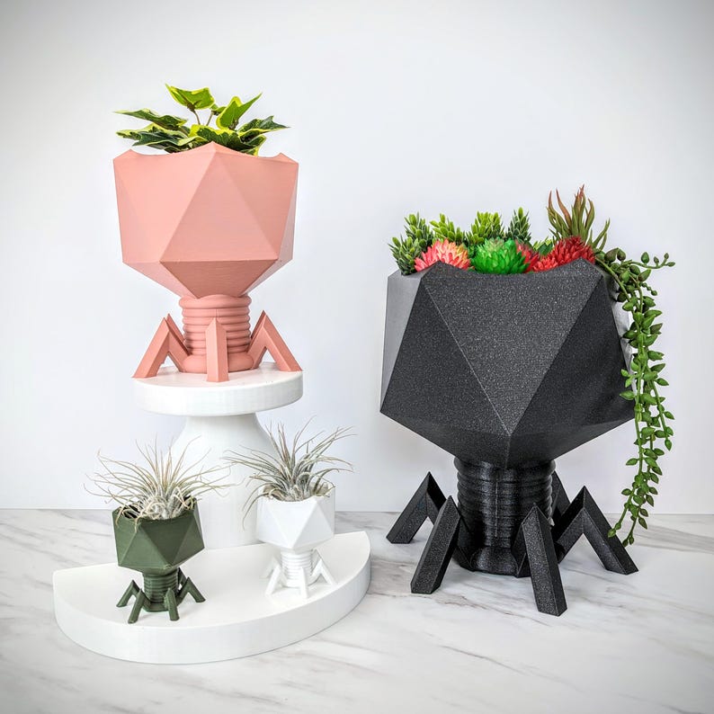 May include: Three different sized planter pots shaped like a creature with multiple legs. The largest pot is black and has a green plant inside. The medium pot is pink and has a green plant inside. The smallest pot is green and has a green plant inside.