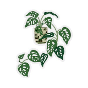 Monstera sticker, plant sticker, plant love, plant life, plant lover sticker, plant gifts, monstera love, planty stuff, cute plant stuff