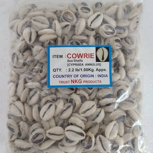 Bolsa de Caracoles Dilogun Cowrie shells 1Kilo 2.2lbs Religion Ifa Santeria Osha Orisha