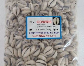 Bolsa de Caracoles Dilogun Cowrie shells 1Kilo 2.2lbs Religion Ifa Santeria Osha Orisha