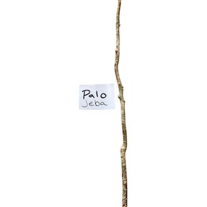 Palo JEBA Santeria Palo Prenda Ifa Caldero
