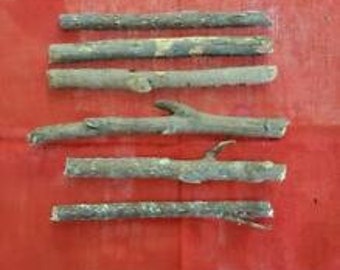 6 Palo Dominador Santeria Palo Prenda