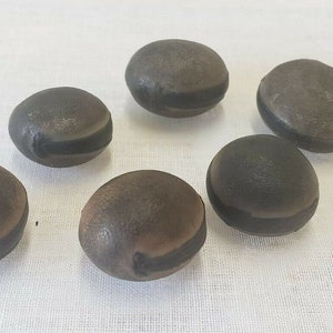 Semilla de Ojo De Buey religião yoruba ifa 6 peças