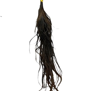 Oshun Irukere Ochun Cola Santería Osha Santo Ifa