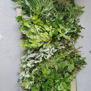 24 Bottles Cleansing Omiero Umiero with 7 Herbs Santeria Osha Palo Egun Ifa Orisha Yoruba