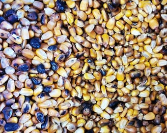 1 LB Maiz Tostado Santeria Osha Elegua Egun Prenda Limpiesa Ifa