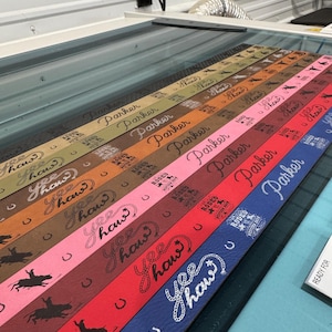 Pode incluir: Uma cole&ccedil;&atilde;o de cintos coloridos com as palavras "Yee Haw" e "Parker" impressas. Os cintos apresentam gr&aacute;ficos tem&aacute;ticos de rodeio, incluindo cowboys, ferraduras e desenhos de cordas. Os cintos s&atilde;o em v&aacute;rias cores, incluindo vermelho, azul e castanho.