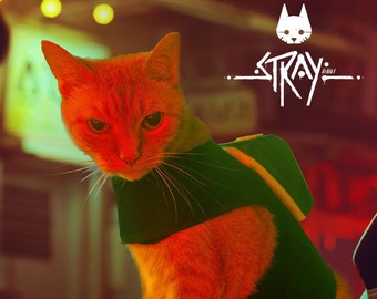 Stray Cats Ball No Dogs Allowed 12インチ　EP Stray Cats Ball: No Dogs Allowed by Various Artists (CD