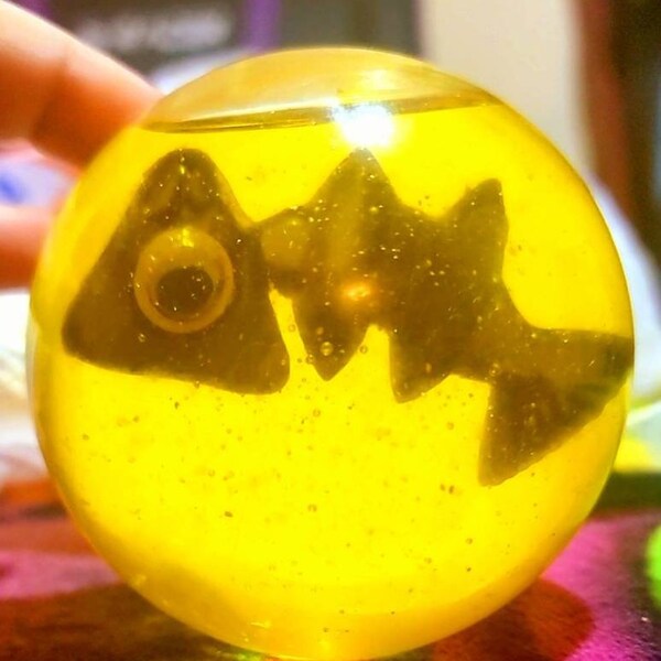 Salmon Run Golden Egg Etsy