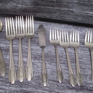 May include: A set of silverware, including forks, spoons, and a butter knife, all with a silver finish. The silverware has a simple, elegant design with a subtle pattern.