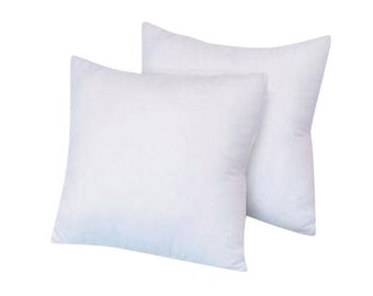 22 inch pillow insert