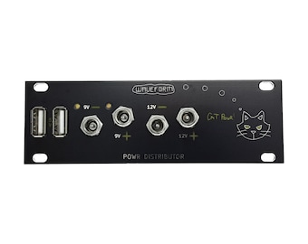 Waveform Magazine Cat Powr 1U or 3U Pedal/Device Power Module Waveform DIY VERSION
