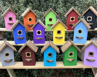 Custom Birdhouse, Outdoor Wood Birdhouse Pick your color